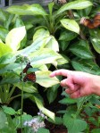 Reaching out